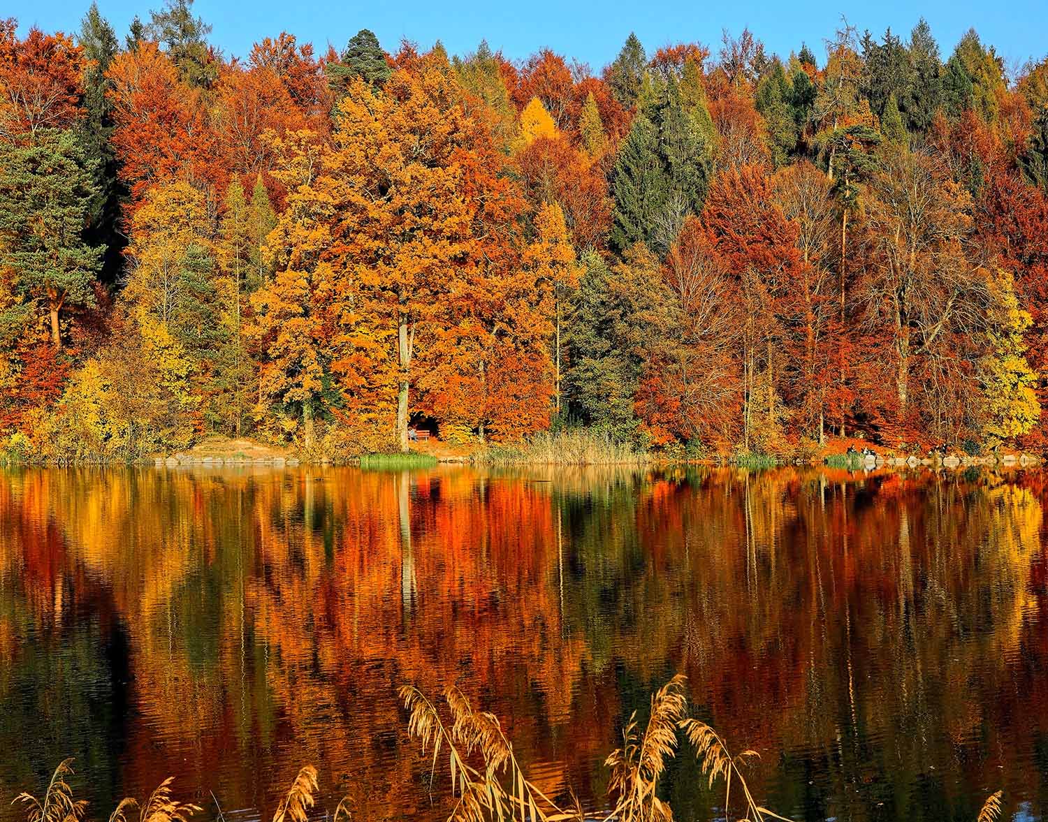 Reflection of trees Autumn Best Fall Photoshoot Locations