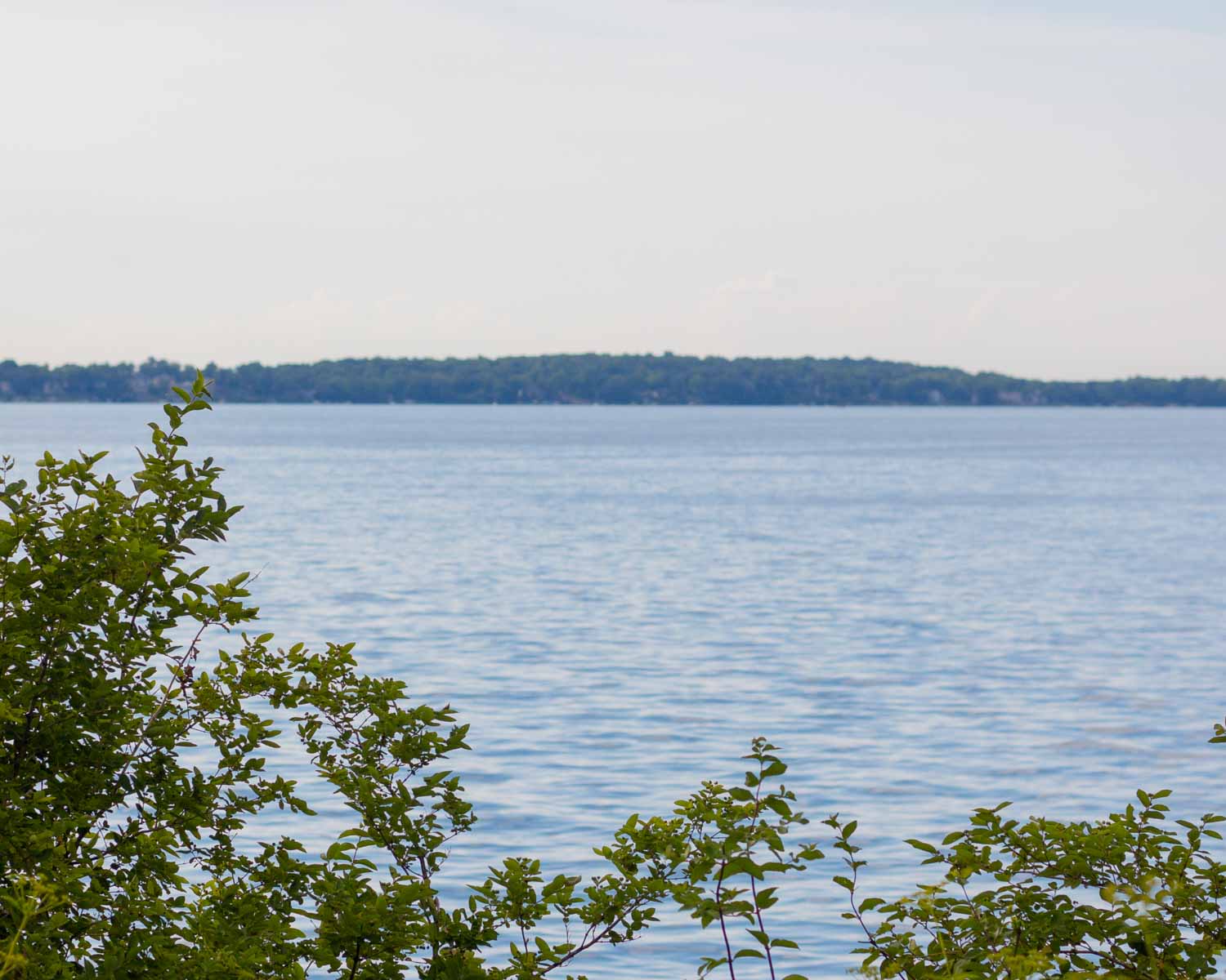 Picnic point Madison, photo spots madison, photo locations madison” title=”Picnic Point Madison – Lakeshore Nature Perserve