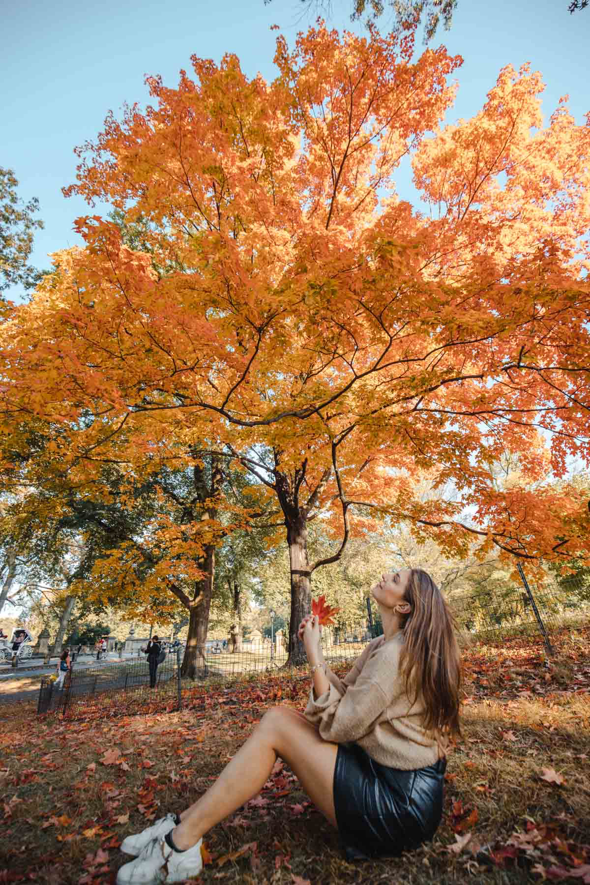 Girl Sitting under tree in the fall