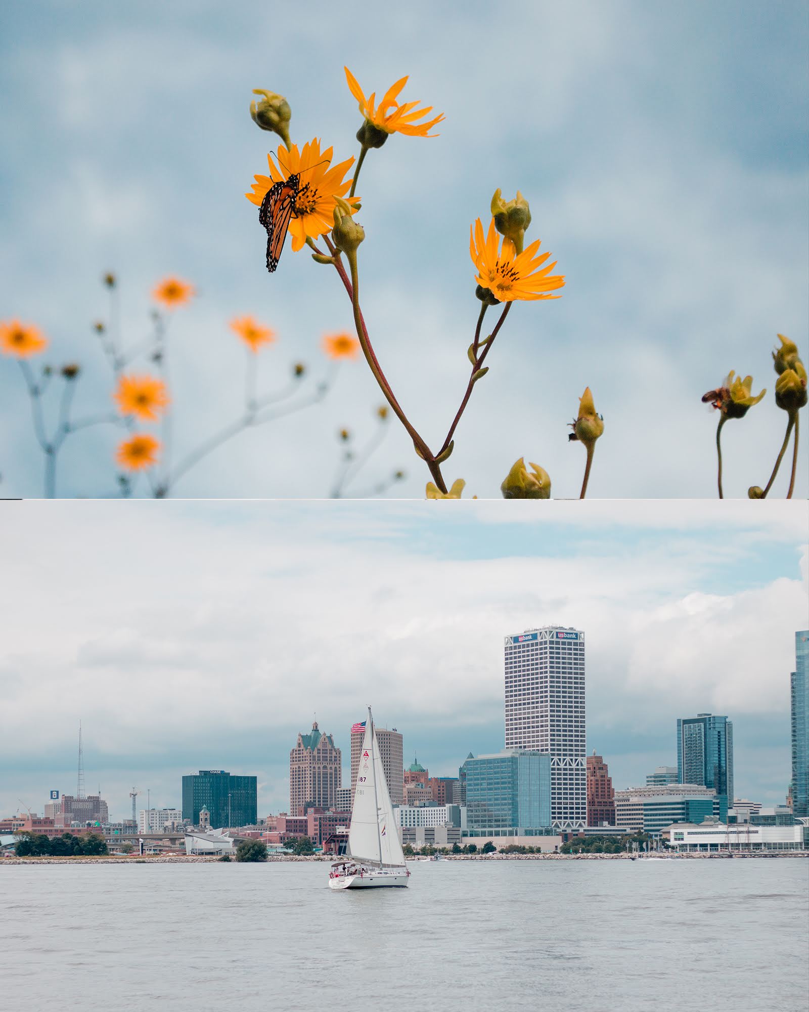 Butterfly Summer Photoshoot