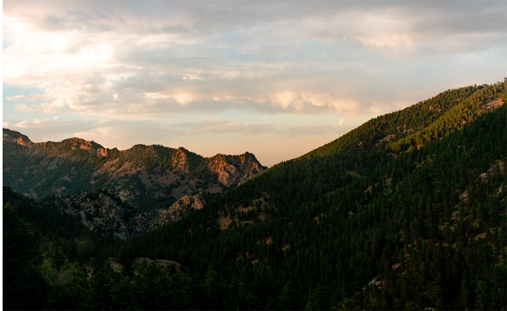 Wall art desert golden rail road tracks