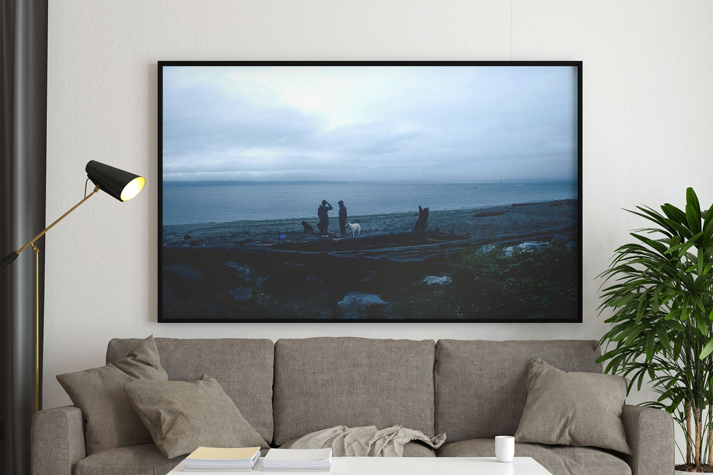 Pacfici North West Seattle Ocean Front