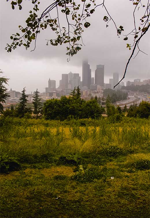 Seattle Washington Wall Decor Print