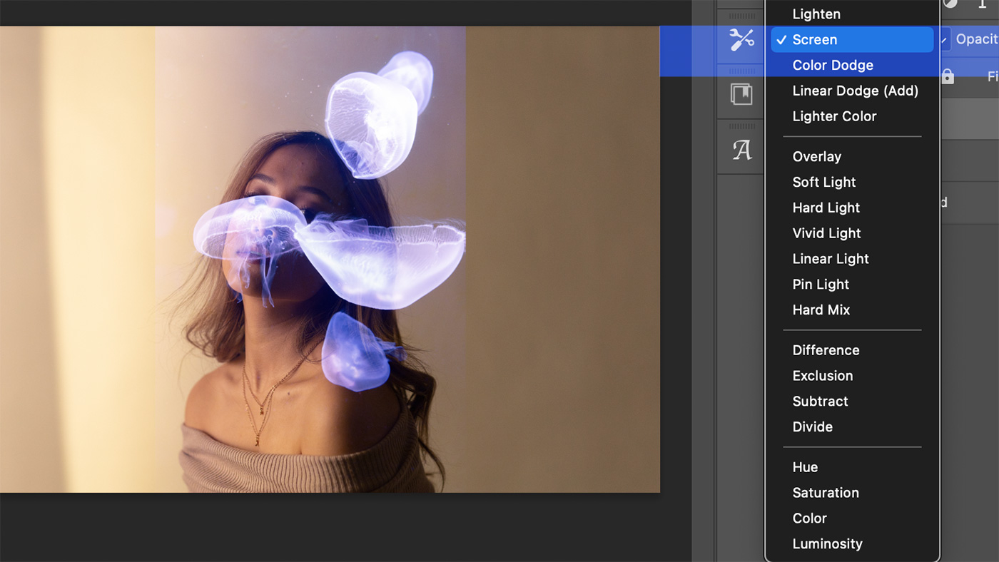 Photoshop ideas for Double Exposure
