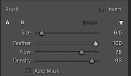Brush Lightroom Settings